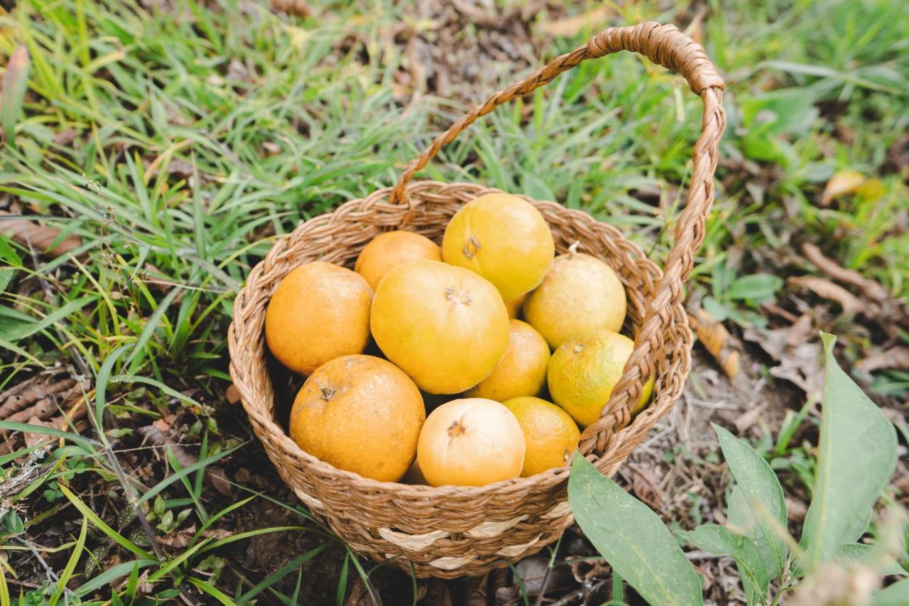 Piripe Wellness Lodge Pacto Bagian luar foto