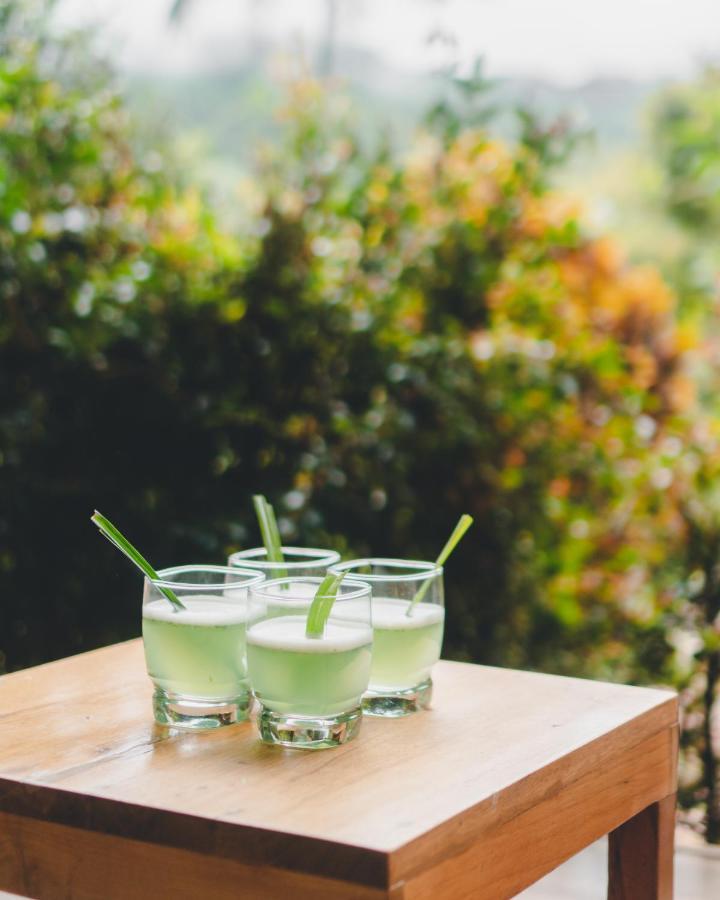 Piripe Wellness Lodge Pacto Bagian luar foto